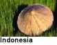 indonesia slideshow